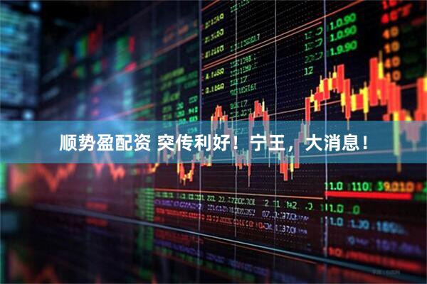 顺势盈配资 突传利好！宁王，大消息！