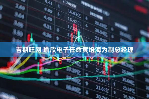 吉期旺网 瑜欣电子任命黄培海为副总经理